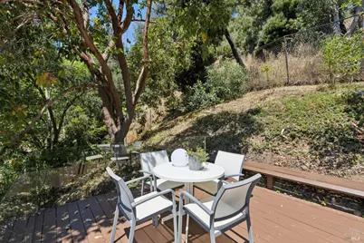 335 Highland Avenue, San Rafael, CA 94901 - Photo 86