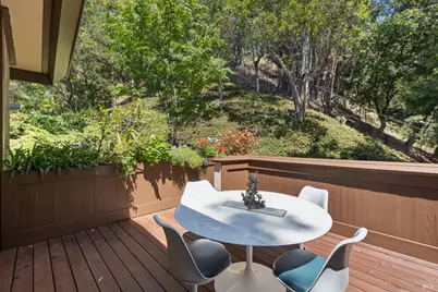 335 Highland Avenue, San Rafael, CA 94901 - Photo 66