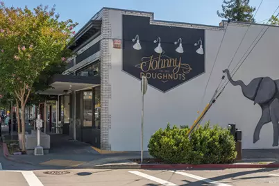 310 Point San Pedro Road, San Rafael, CA 94901 - Photo 58