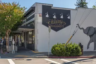 310 Point San Pedro Rd, San Rafael, CA 94901 - Photo 58