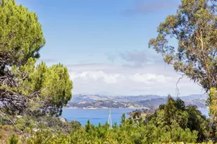 40 W Seaview Ave, San Rafael, CA 94901 - Photo 24