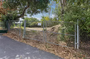 281 Karen Way, Tiburon, CA 94920 - Photo 42