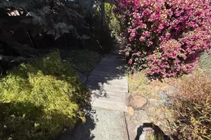 2142 Feliz Dr, Novato, CA 94945 - Photo 18