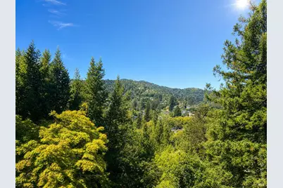 364 Ethel Avenue, Mill Valley, CA 94941 - Photo 48