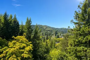 364 Ethel Ave, Mill Valley, CA 94941 - Photo 48