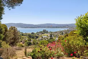 144 Hacienda Dr, Tiburon, CA 94920 - Photo 66