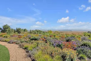 3001 Sears Point Rd, Sonoma, CA 95476 - Photo 62