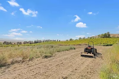 3001 Sears Point Road, Sonoma, CA 95476 - Photo 64