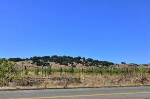 149 Bear Flag Rd, Sonoma, CA 95476 - Photo 14