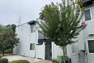 433 Sonoma Ave, Santa Rosa, CA 95401 - Photo 8