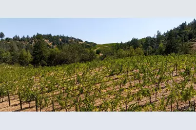 3000 Mount Veeder Road, Napa, CA 94558 - Photo 70