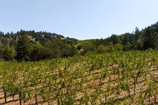 3000 Mt Veeder Rd, Napa, CA 94558 - Photo 70