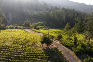 3000 Mt Veeder Rd, Napa, CA 94558 - Photo 78