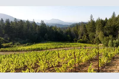 3000 Mount Veeder Road, Napa, CA 94558 - Photo 72