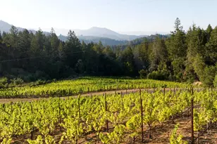 3000 Mt Veeder Rd, Napa, CA 94558 - Photo 72