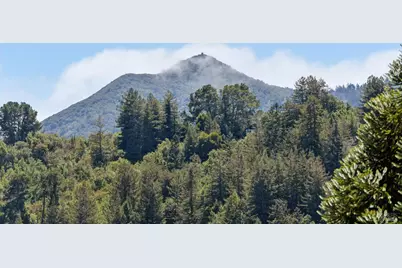 247 Santa Margarita Drive, San Rafael, CA 94901 - Photo 14