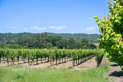 5091 Dry Creek Road #A, Healdsburg, CA 95448 - Photo 30