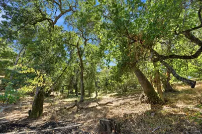 36 Plata Court, Novato, CA 94947 - Photo 14