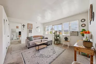 231 Laurel Pl, San Rafael, CA 94901 - Photo 46