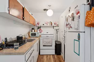 231 Laurel Pl, San Rafael, CA 94901 - Photo 42