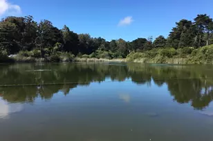 726 Lake St, San Francisco, CA 94118 - Photo 60