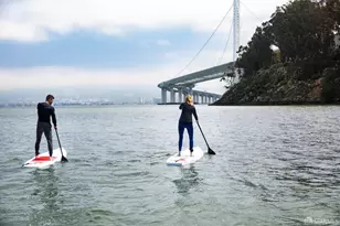 38 Meadow Dr, San Francisco, CA 94130 - Photo 28