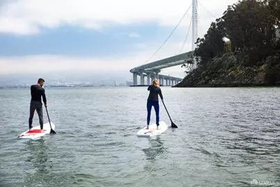 1 Bristol Court #116, San Francisco, CA 94130 - Photo 34