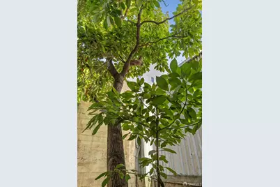 984 Harrison Street, San Francisco, CA 94107 - Photo 34