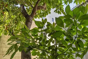 984 Harrison St, San Francisco, CA 94107 - Photo 34