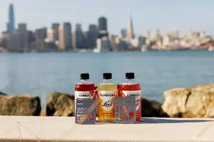 1 Bristol Court, San Francisco, CA 94130 - Photo 52