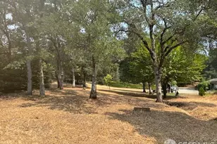 19481 N Rambling Oak Dr, Redding, CA 96003 - Photo 58