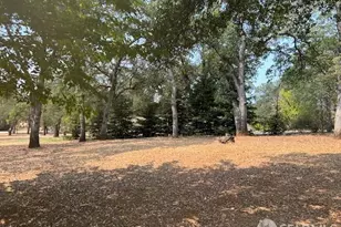 19481 N Rambling Oak Dr, Redding, CA 96003 - Photo 44
