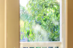 647 N 2nd St, San Jose, CA 95112 - Photo 68