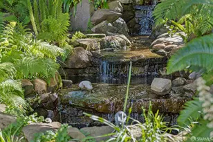 1967 Green St, San Francisco, CA 94123 - Photo 24