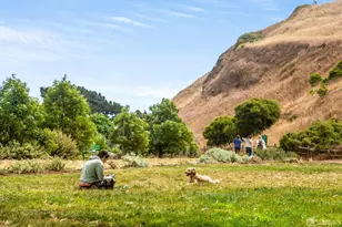 221 Noe St, San Francisco, CA 94114 - Photo 58