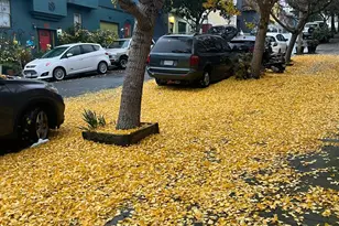 252 Coleridge St, San Francisco, CA 94110 - Photo 30