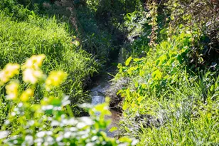 882 Stetson St, Moss Beach, CA 94038 - Photo 30