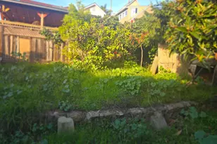 8336 Ney Ave, Oakland, CA 94605 - Photo 18