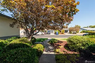 4650 Phyllis Ln, Concord, CA 94521 - Photo 52
