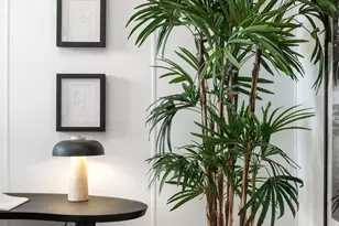 34 Harris Pl, San Francisco, CA 94123 - Photo 16