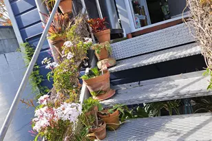 39 Moss St, San Francisco, CA 94103 - Photo 14