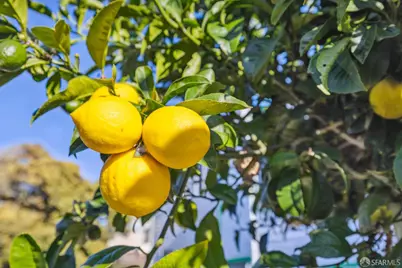 346 Lisbon Street, San Francisco, CA 94112 - Photo 32