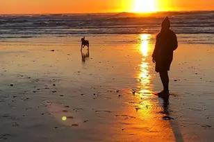 2401 44th Ave, San Francisco, CA 94116 - Photo 62