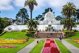 1239 19th Ave, San Francisco, CA 94122 - Photo 74