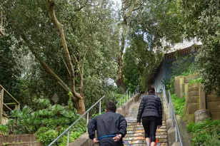 1239 19th Ave, San Francisco, CA 94122 - Photo 66