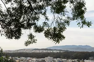 1239 19th Ave, San Francisco, CA 94122 - Photo 80