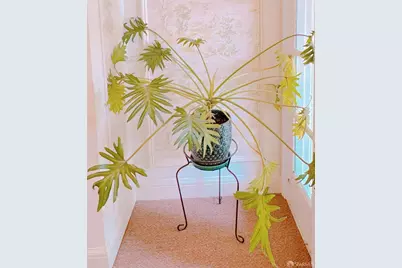 11 Wood Street, San Francisco, CA 94118 - Photo 2