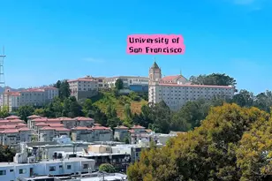 11 Wood St, San Francisco, CA 94118 - Photo 12