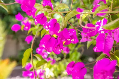 1145 Green Street #2, San Francisco, CA 94109 - Photo 46