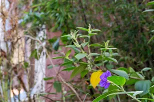 716-716A Douglass St, San Francisco, CA 94114 - Photo 32
